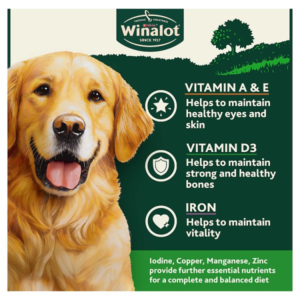 WINALOT Classics Chicken in Gravy Wet Dog Food – 12 x 400g Cans