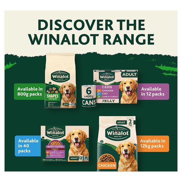 WINALOT Classics Chicken in Gravy Wet Dog Food – 12 x 400g Cans
