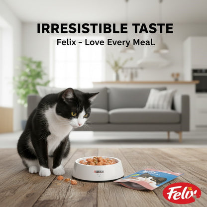 FELIX Original Wet Cat Food in Jelly – Chicken, Salmon & Lamb Flavors