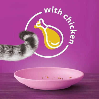 Whiskas Temptations Adult Cat Treats – Salmon & Chicken/Cheese (60g, Pack of 6)