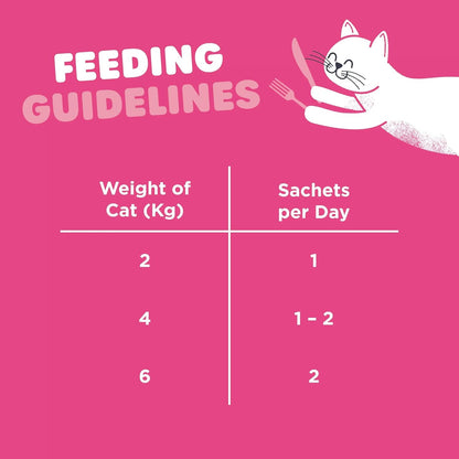Webbox Lick-e-Lix Cat Treats 75g x 10 | Salmon & Chicken Creamy Treats