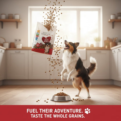 Webbox Complete Dry Dog Food - Beef or Chicken Recipe (Choose Size: 2kg or 15kg)