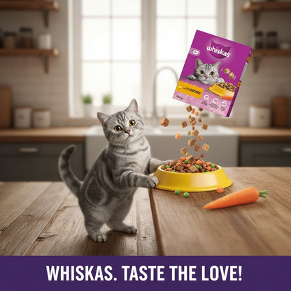 Whiskas Complete Dry Cat Food – Adult & Kitten Varieties (300g, Pack of 6)