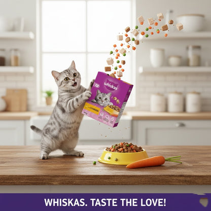 Whiskas Complete Dry Cat Food – Adult & Kitten Varieties (300g, Pack of 6)
