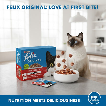 FELIX Original Wet Cat Food in Jelly – Multi-Pack Selection (4 x 12 x 85g)