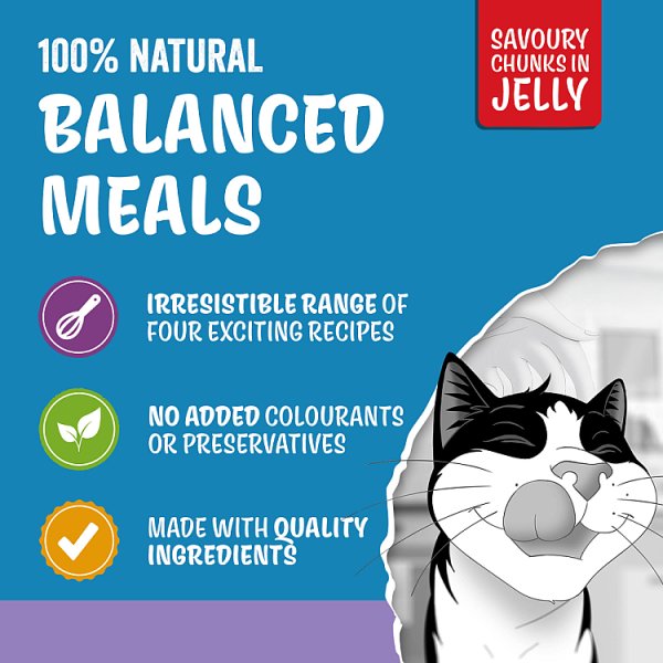 FELIX Original Kitten Wet Cat Food in Jelly – Mixed Selection (4 x 12 x 85g)