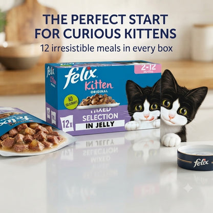 FELIX Original Kitten Wet Cat Food in Jelly – Mixed Selection (4 x 12 x 85g)