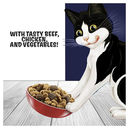 FELIX Doubly Delicious Dry Cat Food – Multi-Pack Selection (4 x Packs)