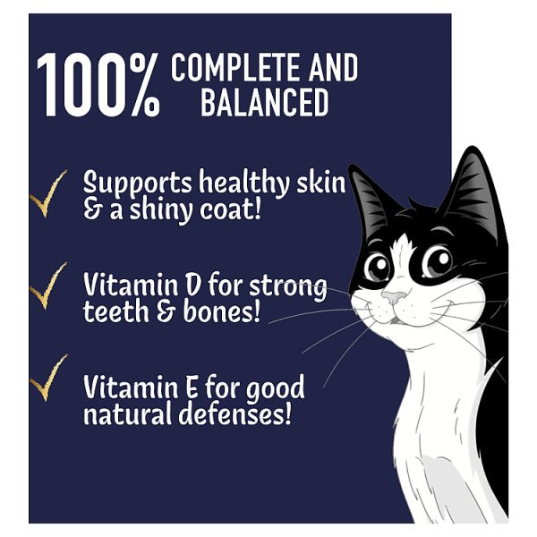 FELIX Doubly Delicious Dry Cat Food – Multi-Pack Selection (4 x Packs)
