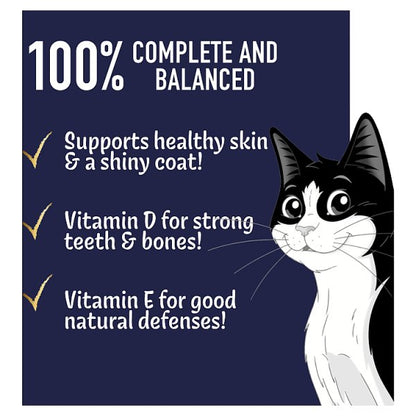 FELIX Doubly Delicious Dry Cat Food – Multi-Pack Selection (4 x Packs)
