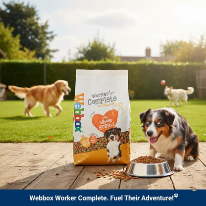 Webbox Complete Dry Dog Food - Beef or Chicken Recipe (Choose Size: 2kg or 15kg)
