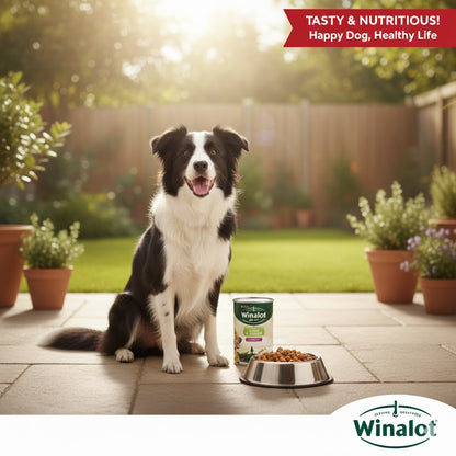 Winalot Classics Wet Dog Food in Jelly – Choose Your Flavor & Pack Size
