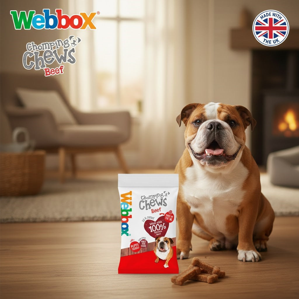Webbox Chew-it Chews for Dogs (10 x 200g Packs) - Choose Your Flavor: Beef or Chicken