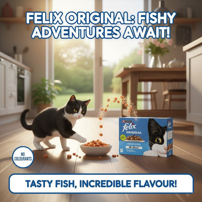 FELIX Original Wet Cat Food in Jelly – Multi-Pack Selection (4 x 12 x 85g)