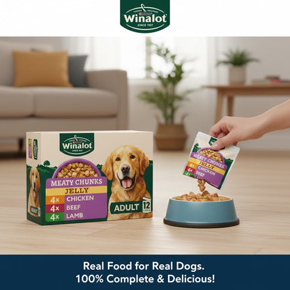 Winalot Wet Dog Food Multipack – Meaty Chunks & Sunday Dinner Selection (4 x 12 x 100g Pouches)