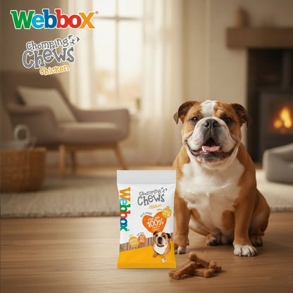 Webbox Chew-it Chews for Dogs (10 x 200g Packs) - Choose Your Flavor: Beef or Chicken