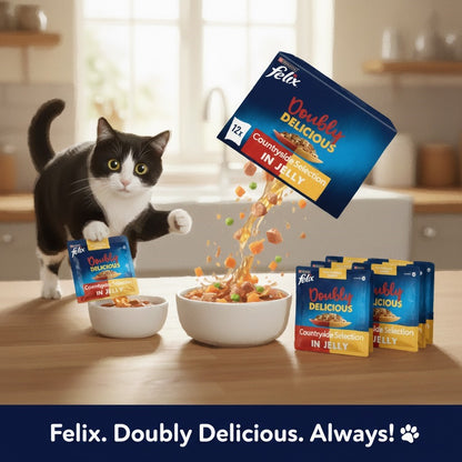 FELIX Doubly Delicious Countryside Selection in Jelly – Wet Cat Food (4 x 12 x 85g)