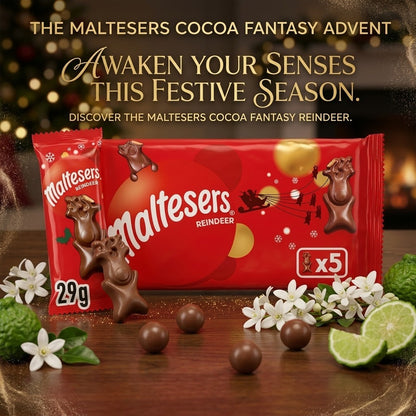 5 x 29g Maltesers Reindeer Milk Chocolate Multipack Case of 10 Bulk Festive Sa