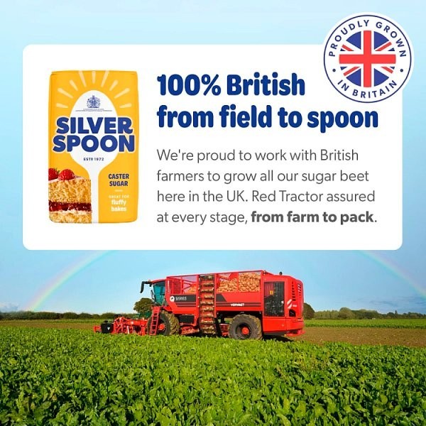 Silver Spoon Caster Sugar 1kg / 500g Fluffy baking Cake - Bulk Case