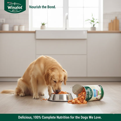 Winalot Classics Wet Dog Food in Jelly – Choose Your Flavor & Pack Size