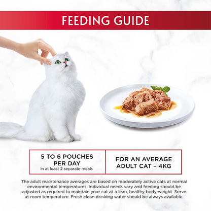 GOURMET Mon Petit Intense Wet Cat Food - Duck, Chicken & Turkey Selection (8 x 6 x 50g)
