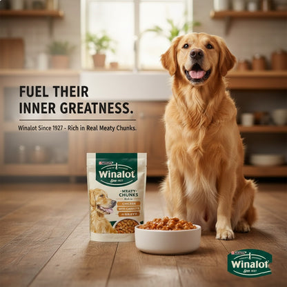 Winalot Meaty Chunks Wet Dog Food 100g x 20 Multipack