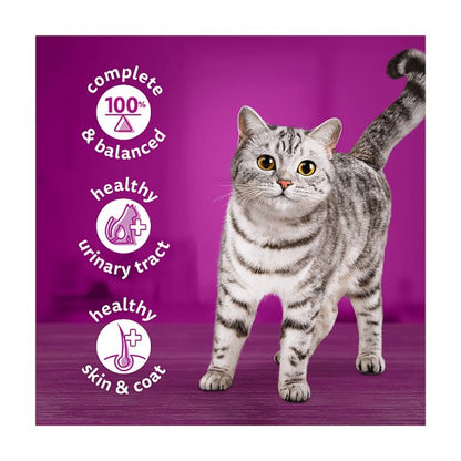 Whiskas Temptations Adult Cat Treats – Salmon & Chicken/Cheese (60g, Pack of 6)